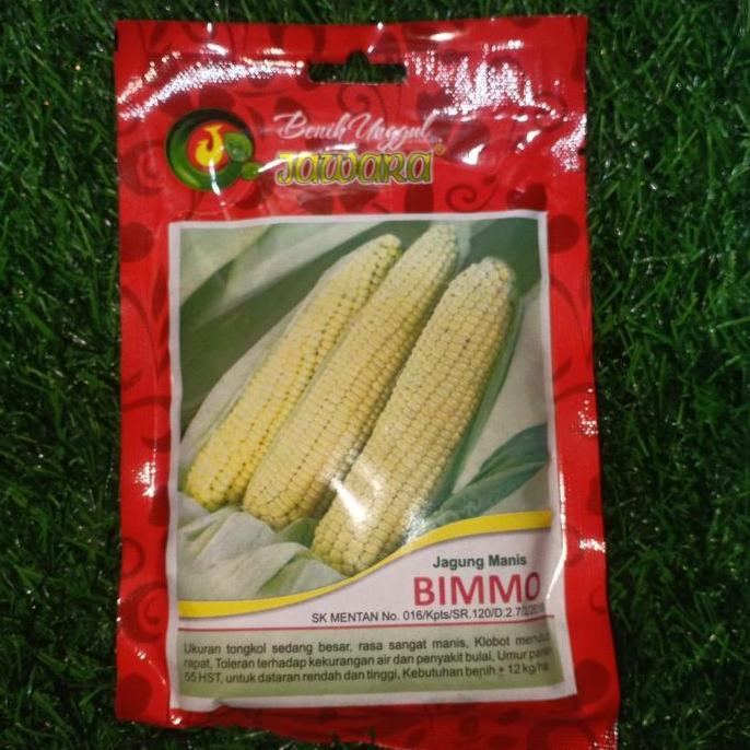 Benih Unggul Jawara - Jagung Manis BIMMO