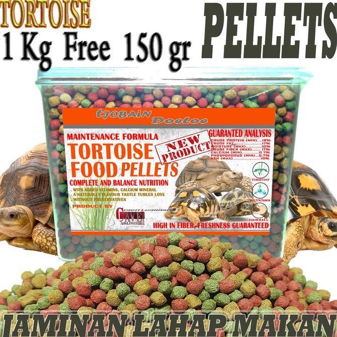 makanan sulcata tortoise kura kura darat food sulkata leopard pardalis aldabra redfood aldabra rusia