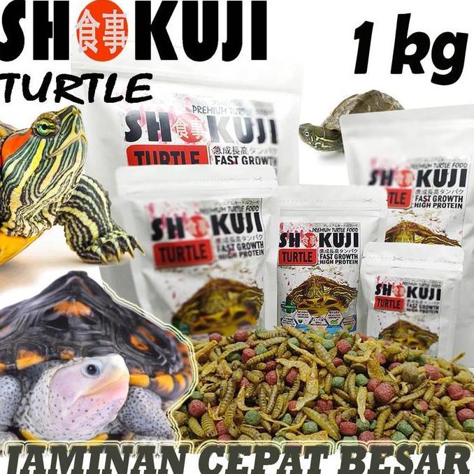1KG SHOKUJI PELET MAKANAN KURA-KURA AIR RES BRAZIL CST AST PAKAN KURA DAMER PIPUT MONBI PICTA PELLET