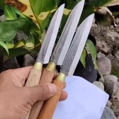 BIG PROMO 3 pcs pisau dapur kecil bahan baja gergaji, pisau tajam, pisau seset, pisau kupas buah, bi