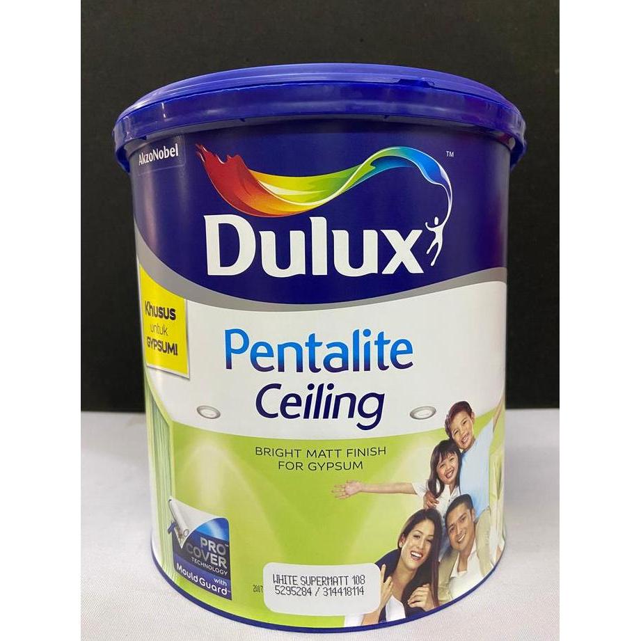 Cat Plafond / Dulux Ceiling 25Kg