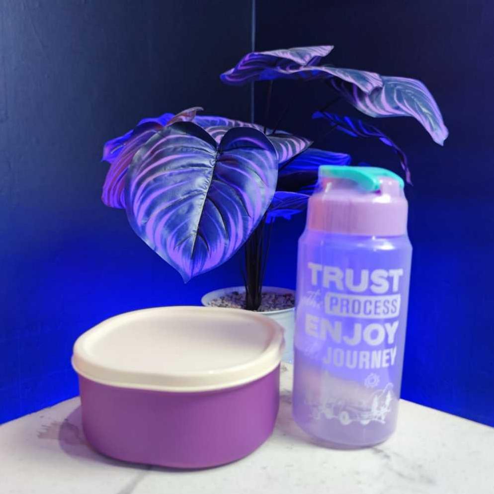 Promo Terbaru Kotak Makan Mini Kecil Anak 500 Ml Lunch Box Wadah Bekal Cemilan Snack Bayi Lucu Tepak