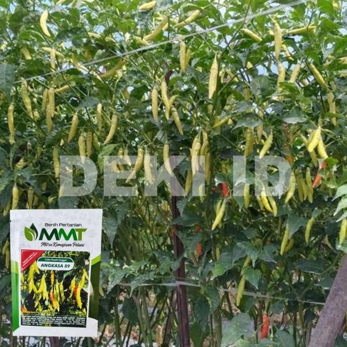 Benih Cabe Rawit Angkasa 10 Gram Bibit Cabai Unggul MMT