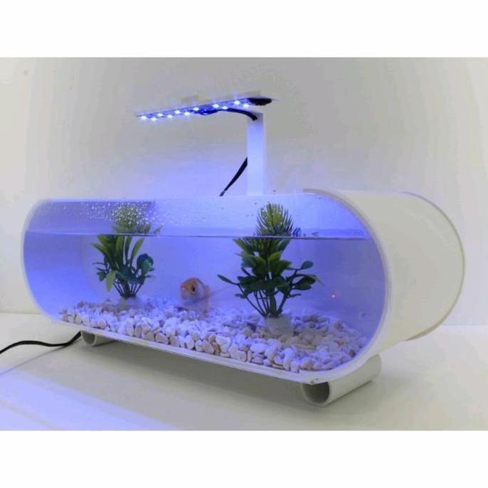 aquarium mini akrilik unik aquarium ikan cupang fullset TS