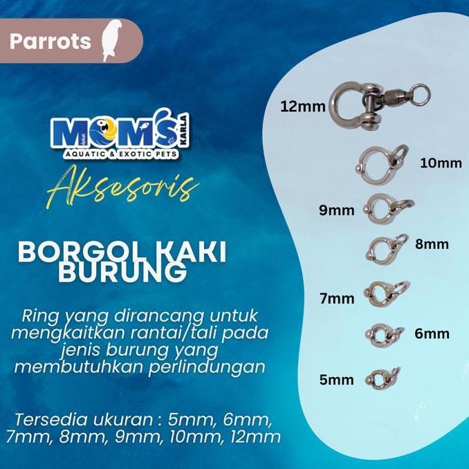 BORGOL BURUNG  9mm