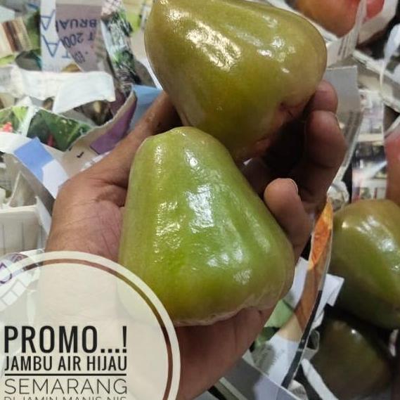 buah jambu air hijau semarang manis