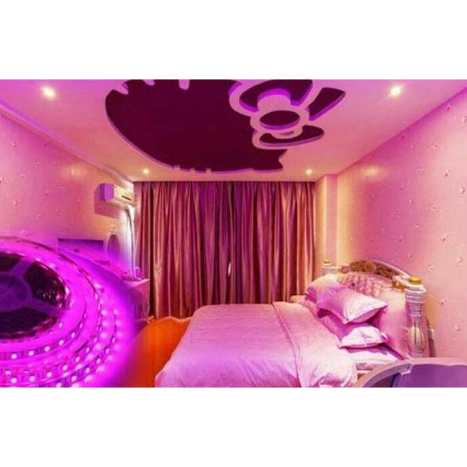 Led Strip Selang 5050 Ac 220V Ungu (100M / 100Meter / 100 M) Outdoor