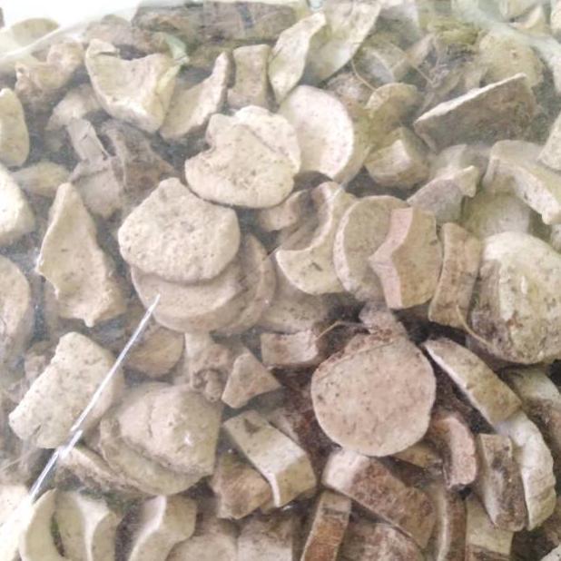 Keladi Tikus Kering 100Gr - Herbal Keladi Tikus