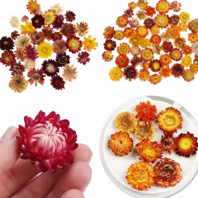 Winwin- Dried Flowers Cake Decoration Bunga Kering Topper Kue Hiasan Edible