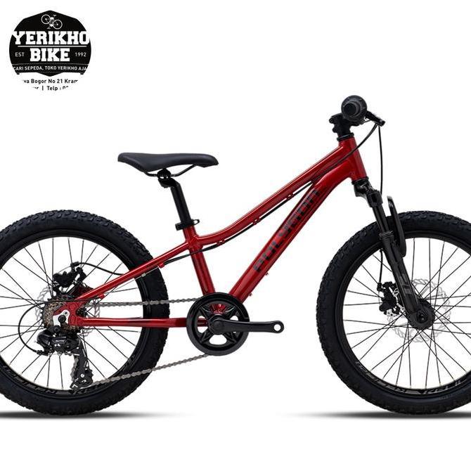 Terlaris Sepeda Bmx Mtb 20 Polygon Relic