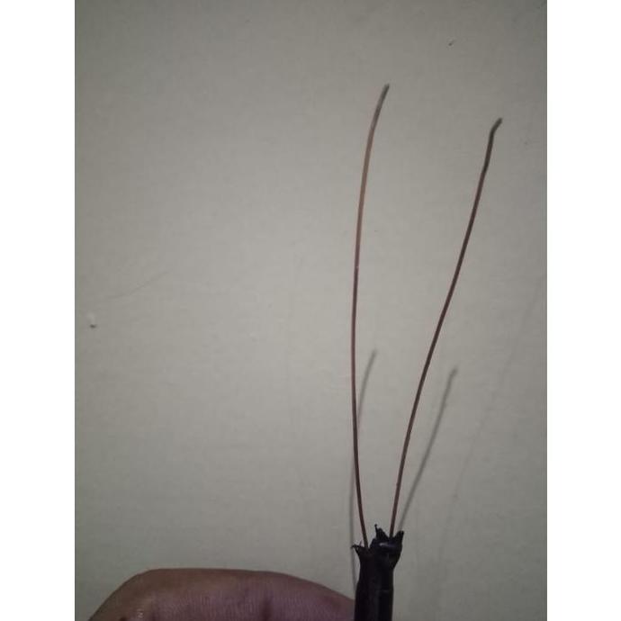 Kabel Listrik/ Kabel Outdoor Termurah