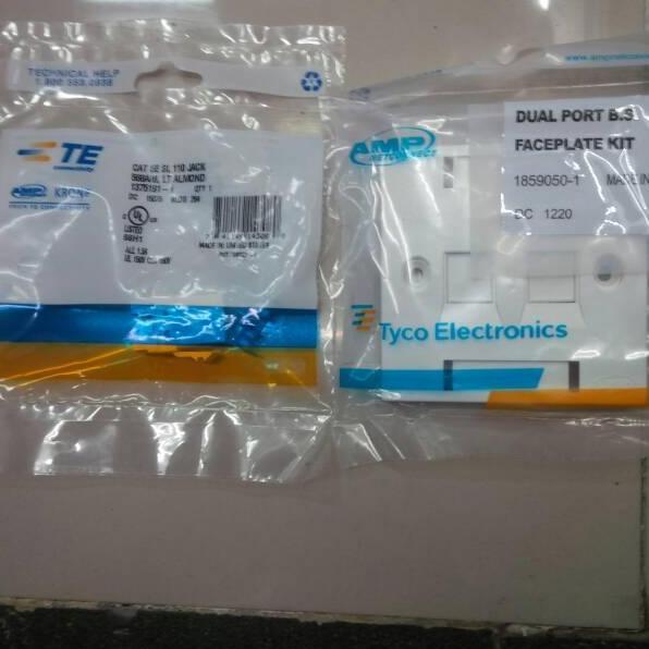 DE169 >> amp faceplate 2 hole / frame dual port