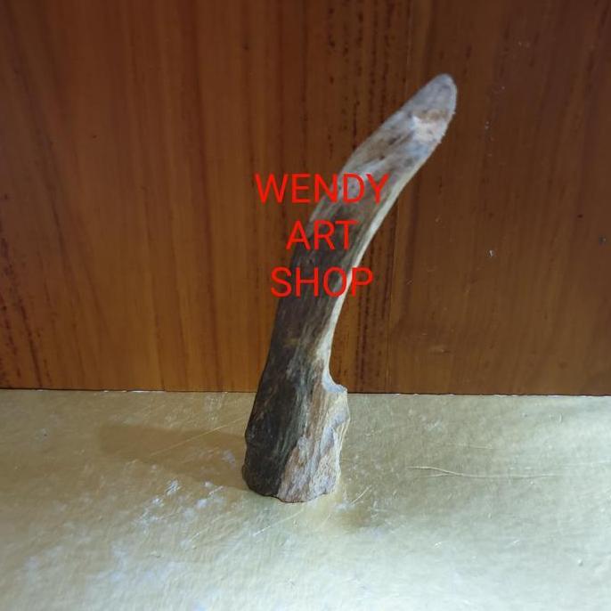 Kayu Gaharu Kalimantan Malinau untuk Bahan Dupa