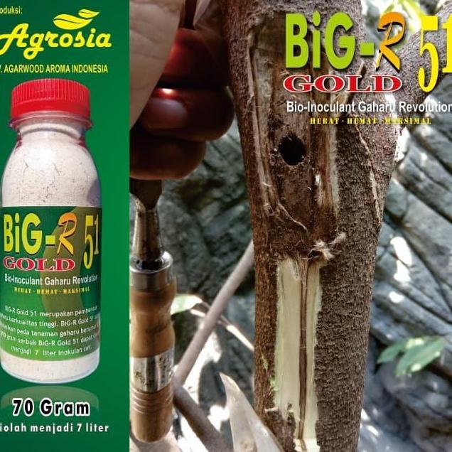 BiG-R Gold 51 - Inokulan Gubal Gaharu - 70 gram