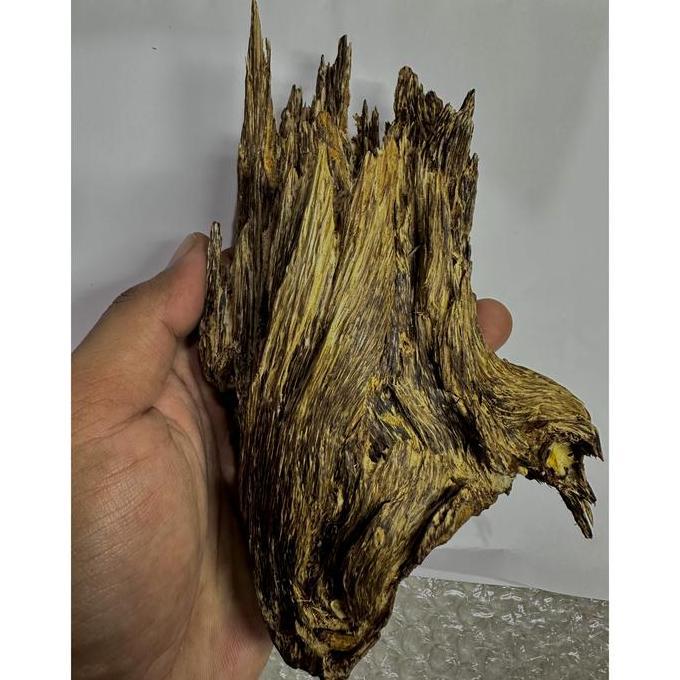 Decorasi kayu gaharu kinam Triple Super King - Malinau KalimantanUtara