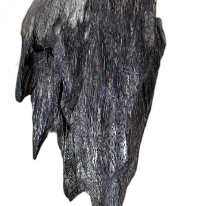 kayu gaharu aquilaria malaccensis Super King Rare Agarwoods Papua