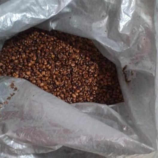 Rijek kopi murah arabika robusta 1kg