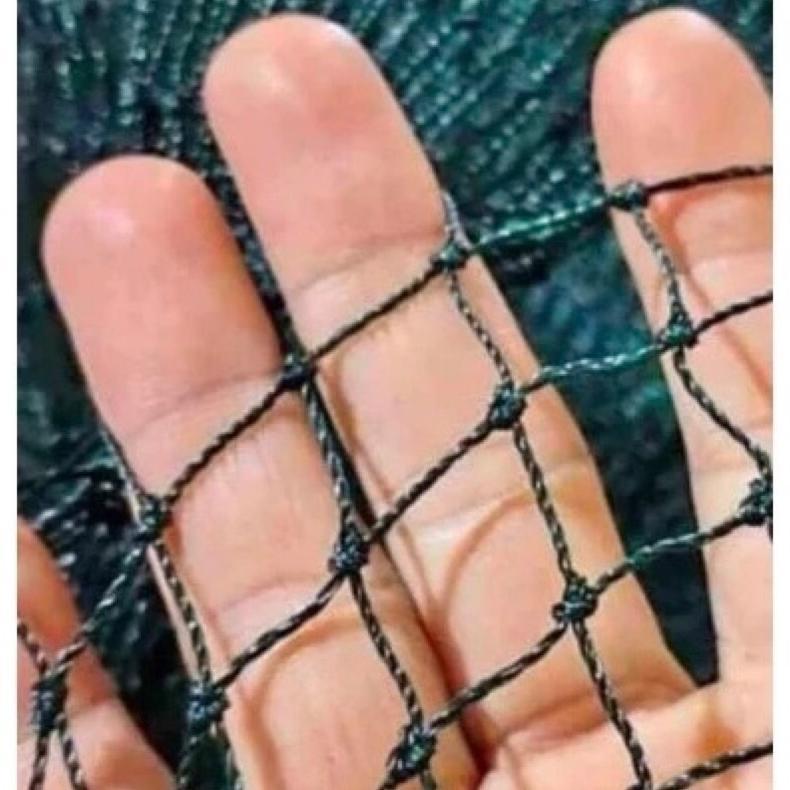 Bisa Cod Jaring Anak Ayam - Ukuran 1M X 10M [Lubang 1Cmx1Cm] ><