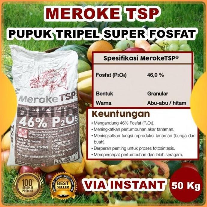 TSP Meroke 46% 50 Kg via Instant Pupuk Pospat Penguat Akar Tanaman