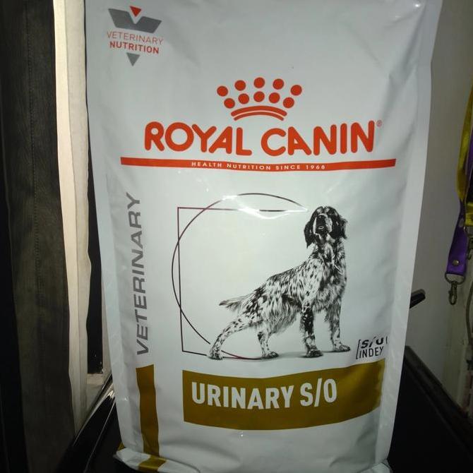 NEW ROYAL CANINE URINARY S/O DOG - ROYAL CANIN URINARY S/O CANINE