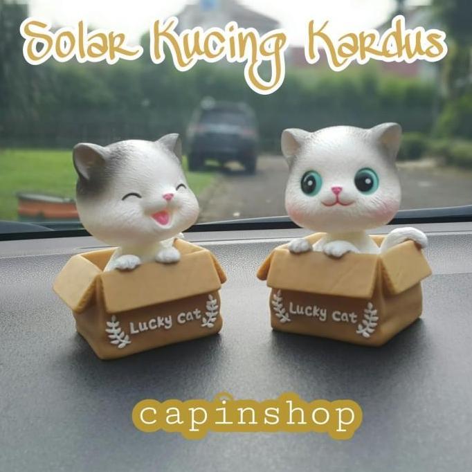 hiasan dashboard mobil kucing