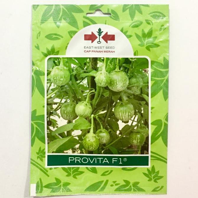 Grdx- Benih Terong Lalap Bulat Hijau Provita F1 Panah Merah Sp Kemasan Asli