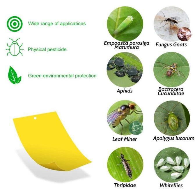 THETA 20pcs/Bag Yellow Trap Perangkap Hama Lem Perekat Lalat Buah Likat Kuning