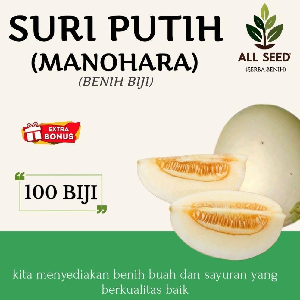 Bisa Cod ( 100 Biji ) Benih Suri Putih | Bibit Biji Timun Suri | Suri Manohara | Timun Suri Putih Ma