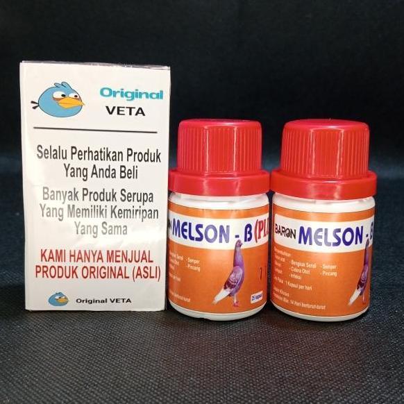 Bridwoi- Melson-B (Plus) Baron Burung Merpati Sakit Lumpuh Pincang Melson B