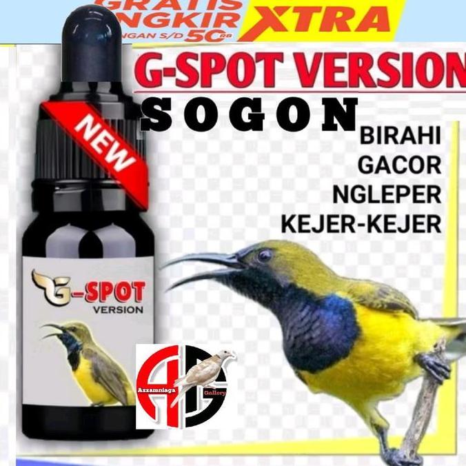 Bridwoi- G Spot Metabolisme Penggacor Burung Kacer Burung Murai Cucak Ijo