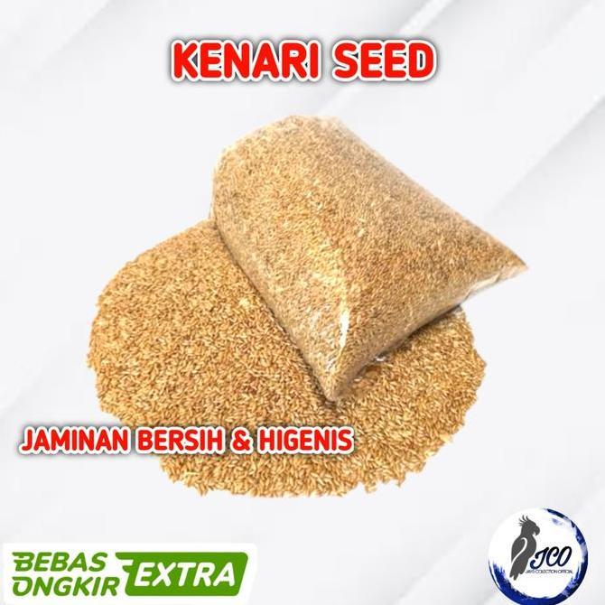 Bridwoi- Canary Seed