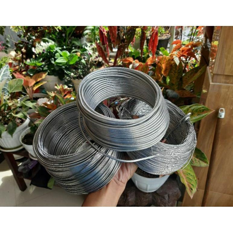 Promo Cod Kawat Bonsai Silver Kawat Bonsai Per Meter Kawat Bonsai Meteran Kawat Bonsai 1Mm Kawat Bon