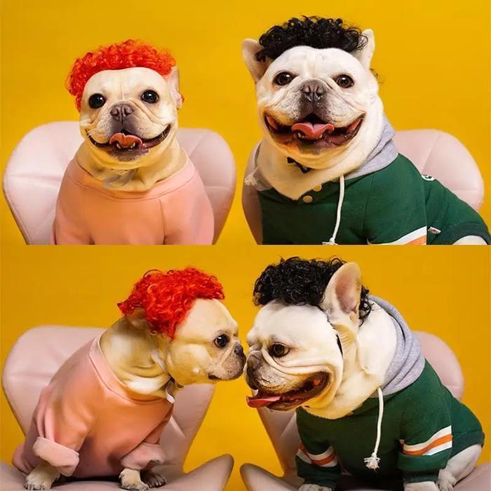 Wig Anjing Dan Wig Kucing Kostum Rambut Palsu Hewan Pet4052