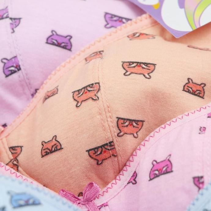 Scelta - Step 3 Bra Remaja Miniset Bh Teenager Scelta Teen Bh Sc T3 123 (TERBAIK) (TERBARU) (TERMURA