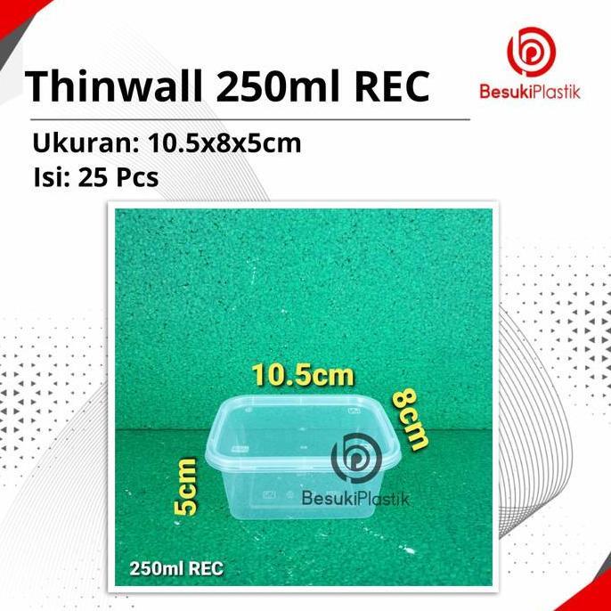 Thinwall 250ml REC / Box Thinwall 250ml / Kotak Thinwall 250ml