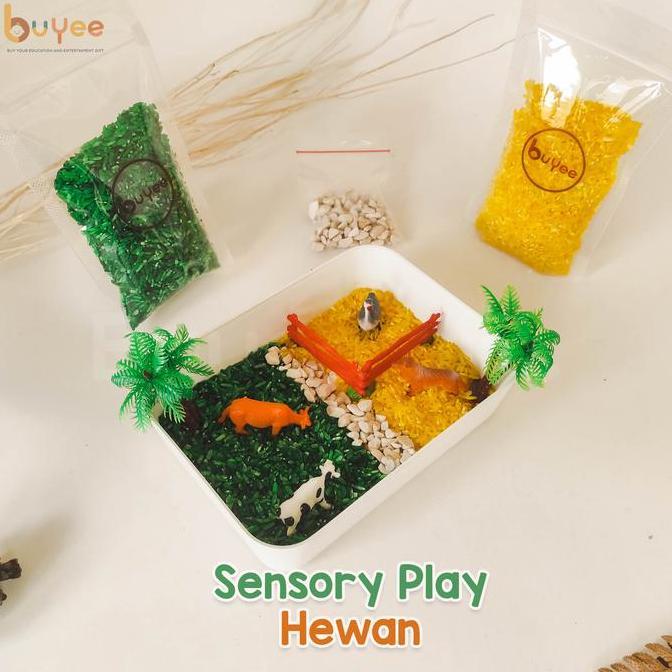 BUYEE GIFT - SENSORY PLAY | Sensory Bin hewan | Mainan Montessori Beras dan Hewan