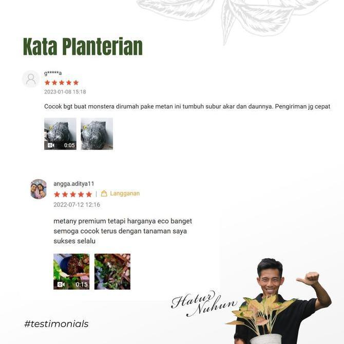 Blumengarten- Media Tanam Monstera Philodendron Media Tanam Monstera Ajaib 2 Kg