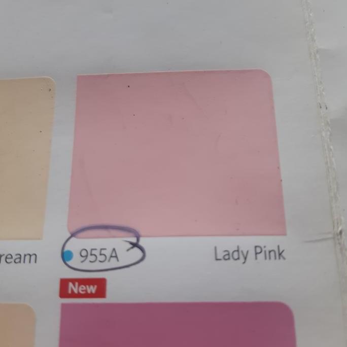 CAT TEMBOK VINILEX NIPPON PAINT WARNA LADY PINK 955A ISI 5KG
