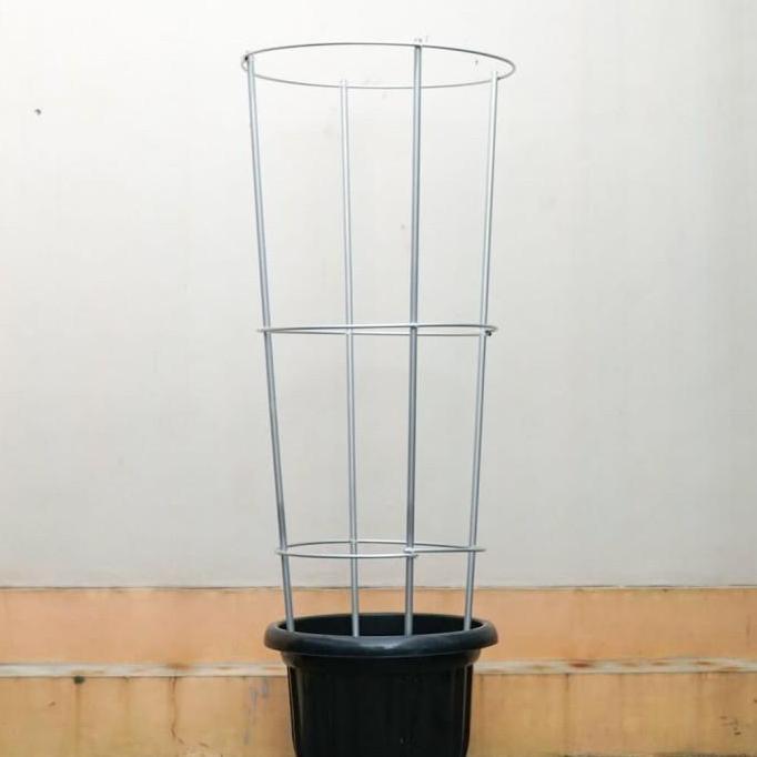 Tiang Rambatan Anggur Terbaru 