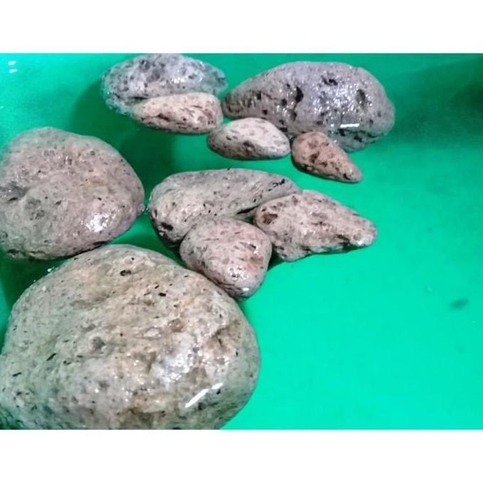 Batu Apung / Pumice Stone 1 Kg - Pumice Natural Stone