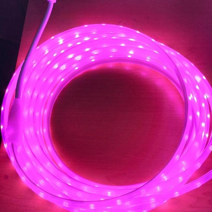 Raito- Lampu Led Strip Selang 5050 120Mata Led  Ac 220V Permeteran Outoor Dan Indoor 11M-15M Meteran