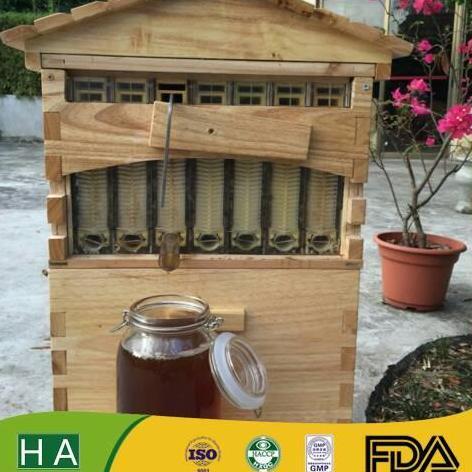 Grosir Paket Flow Honey Bee Hive Promo
