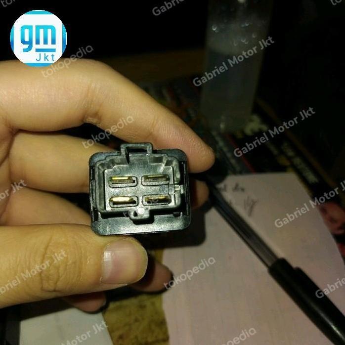 Rellay Carshow Kaki 4 24Volt 30 Ampere Sejajar Ready