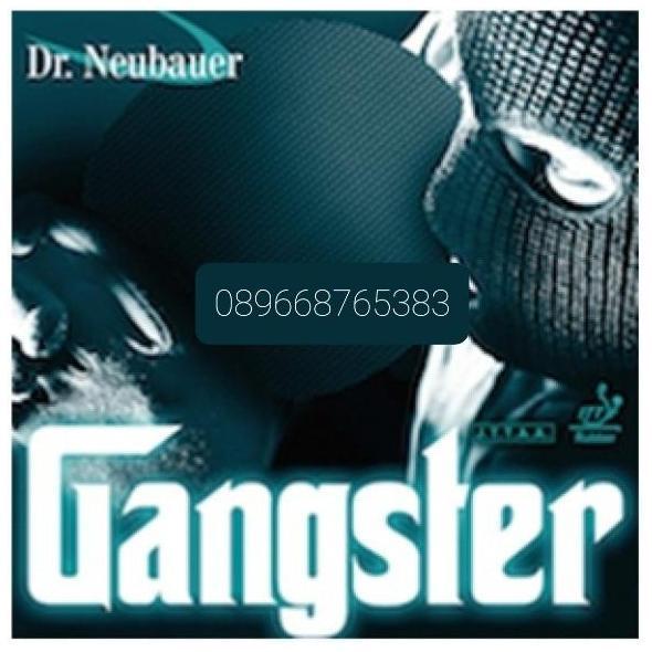 NEW Dr. Neubauer GANGSTER, Bintik Panjang