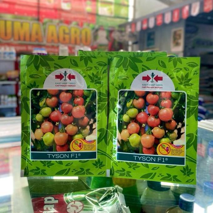 Benih Tomat Tyson 32 F1 - Isi 1750butir - Cap Panah Merah KUN