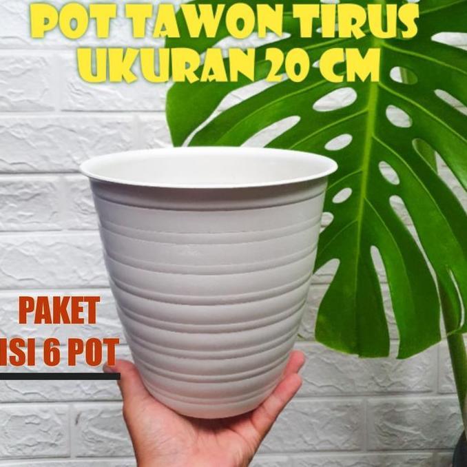 Pot tawon tirus 20 cm paket isi 6 pot murah Hijau Putih
