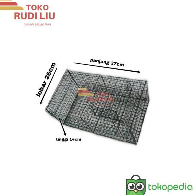 (PE) PERANGKAP TIKUS MASSAL Jebakan Tikus Massal Perangkap Tikus Jumbo