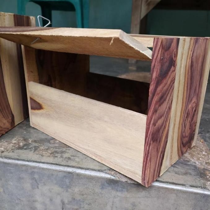 Glodok kotak panjang murai batu tangkringan 2 - glodok kotak murai