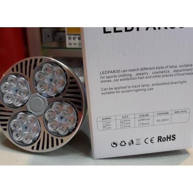 Yamasaki Led Par30 35 Watt
