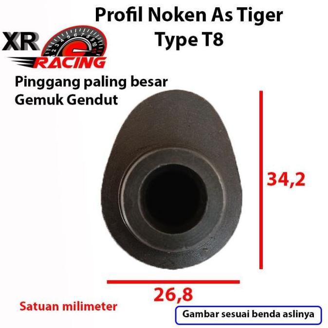 Noken As Racing Tiger XR T8 dan RRA Tiger PNP Tiger Megapro GL